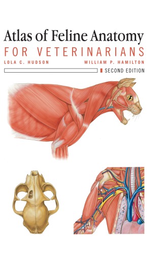 Atlas of Feline Anatomy For Veterinarians 2017