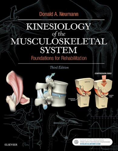 Kinesiology of the Musculoskeletal System: Foundations for Rehabilitation 2017