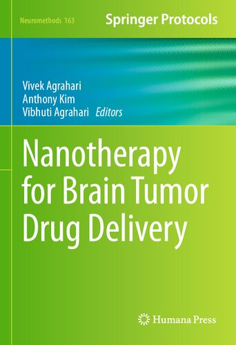 Nanotherapy for Brain Tumor Drug Delivery 2020