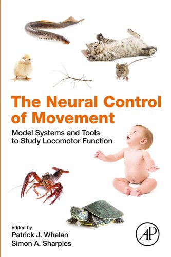 کنترل عصبی حرکت: سیستم ها و ابزارهای مدل برای مطالعه عملکرد حرکتی