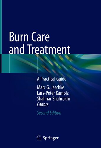 Burn Care and Treatment: A Practical Guide 2020