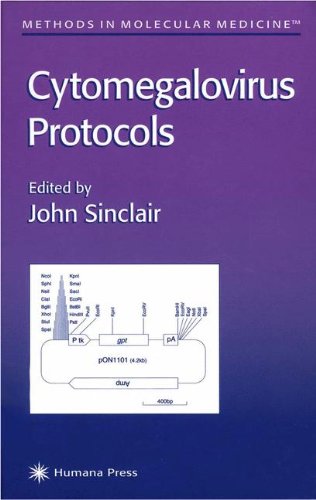 Cytomegalovirus Protocols 2011