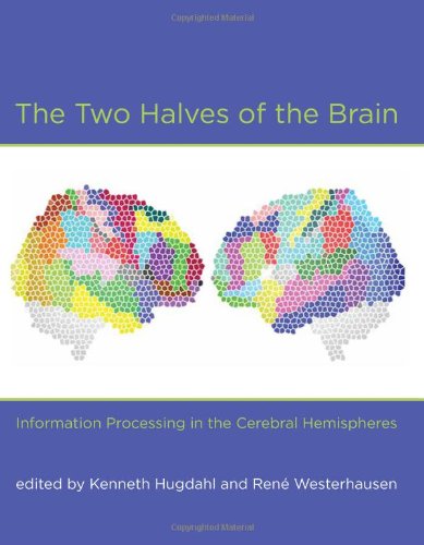 The Two Halves of the Brain: Information Processing in the Cerebral Hemispheres 2010