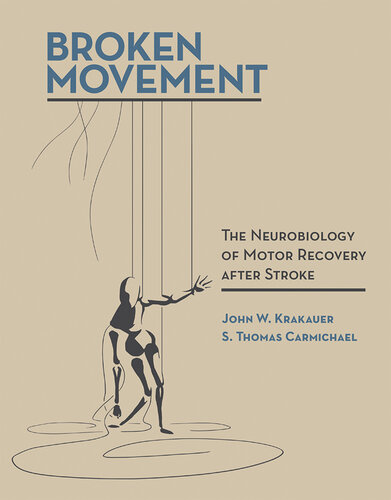 Broken Movement: The Neurobiology of Motor Recovery after Stroke 2017