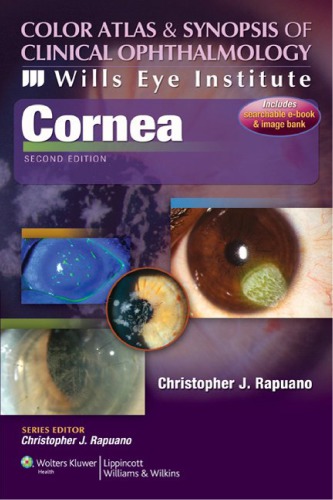 Cornea 2011