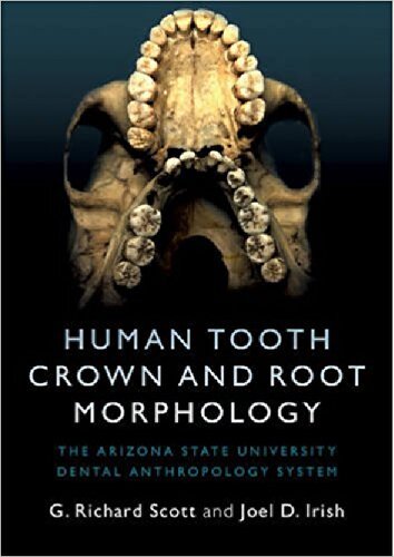 Human Tooth Crown and Root Morphology 2017