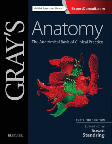 Gray's Anatomy: The Anatomical Basis of Clinical Practice 2016