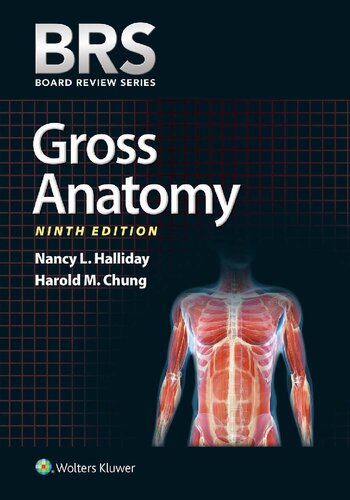 Gross Anatomy 2018