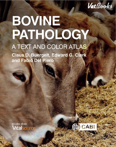 Bovine Pathology: A Text and Color Atlas 2018