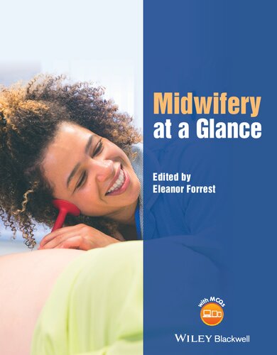 Midwifery at a Glance 2019