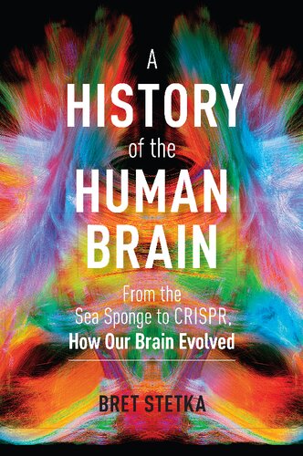 A History of the Human Brain: From the Sea Sponge to CRISPR, How Our Brain Evolved 2021