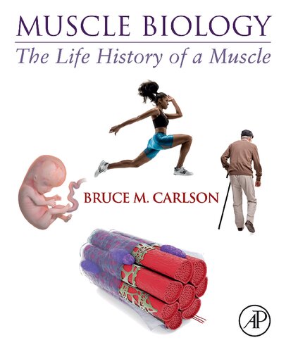 زیست شناسی عضلانی: تاریخچه زندگی عضلانی