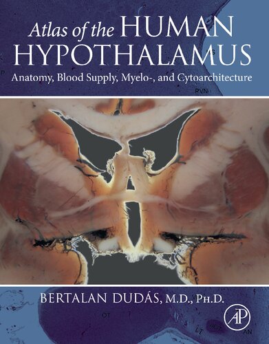 Atlas of the Human Hypothalamus: Anatomy, Blood Supply, Myelo-, and Cytoarchitecture 2021