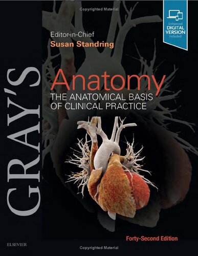 Gray's Anatomy: The Anatomical Basis of Clinical Practice 2020
