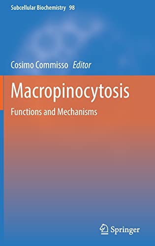 Macropinocytosis: Functions and Mechanisms 2022