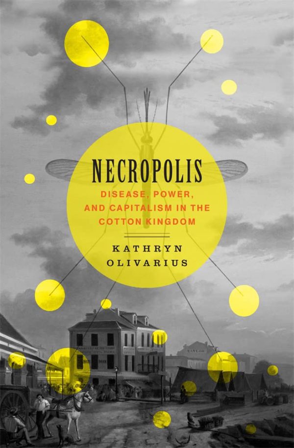 Necropolis: Disease, Power, and Capitalism in the Cotton Kingdom 2022