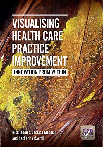 Visualising Health Care Practice Improvement: Innovation from Within 2013