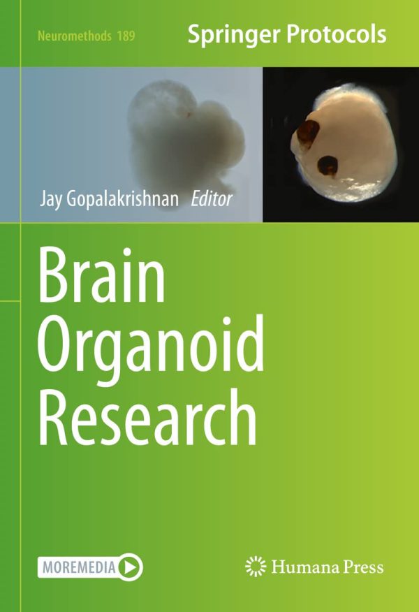 Brain Organoid Research 2022