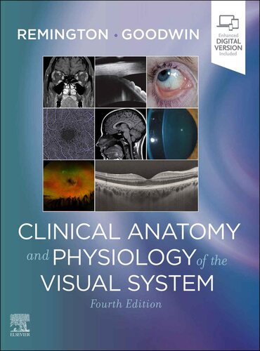 Clinical Anatomy and Physiology of the Visual System 2021