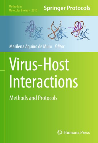 Virus-Host Interactions: Methods and Protocols 2022