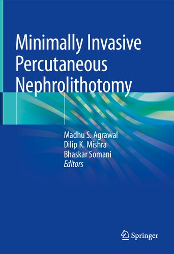Minimally Invasive Percutaneous Nephrolithotomy 2022