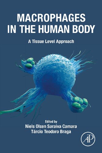 Macrophages in the Human Body: A Tissue Level Approach 2022