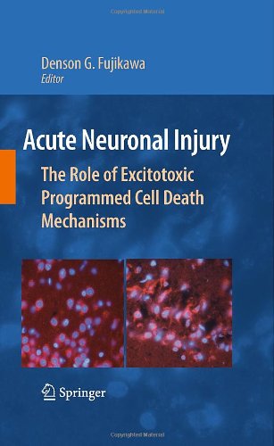 Acute Neuronal Injury: The Role of Excitotoxic Programmed Cell Death Mechanisms 2009