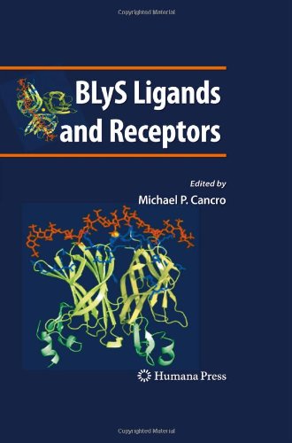 BLyS Ligands and Receptors 2009