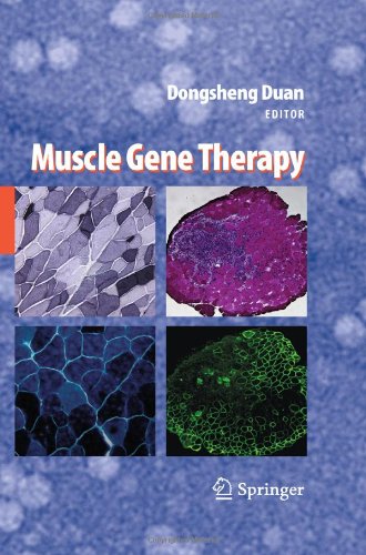ژن درمانی عضلانی