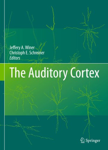 The Auditory Cortex 2010
