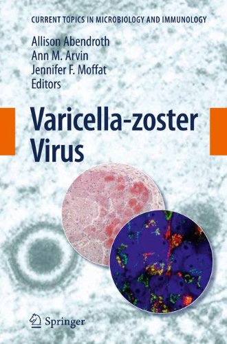 Varicella-zoster Virus 2010