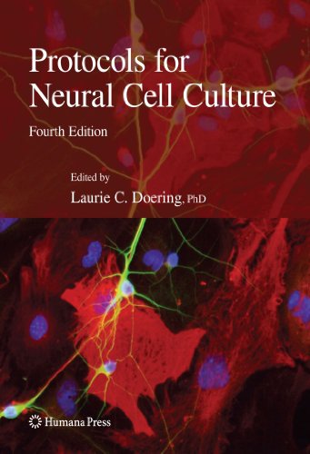 Protocols for Neural Cell Culture 2009
