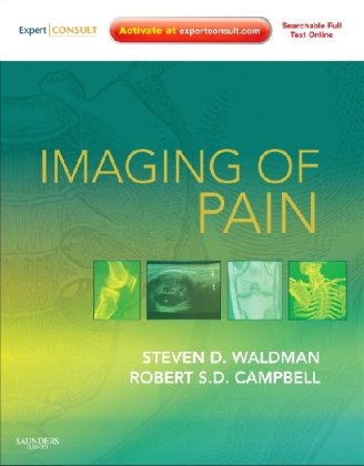 Imaging of Pain 2010