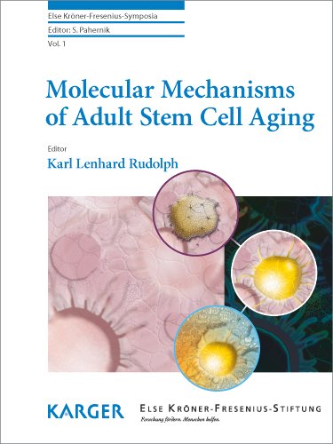 Molecular Mechanisms of Adult Stem Cell Aging 2010