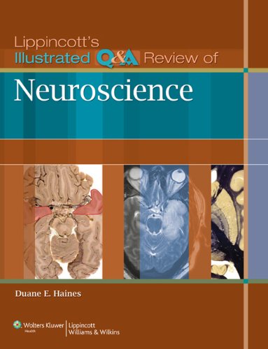 Lippincott's Illustrated Q&A Review of Neuroscience 2010