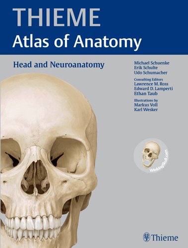 Head and Neuroanatomy 2010