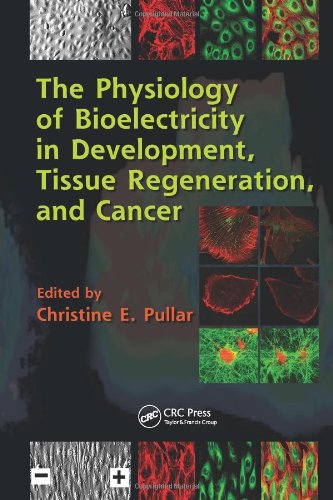 The Physiology of Bioelectricity in Development, Tissue Regeneration and Cancer 2011