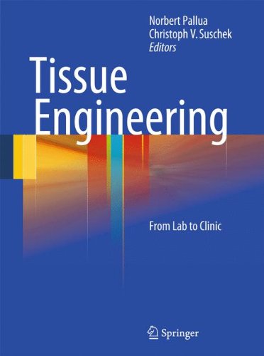 Tissue Engineering: From Lab to Clinic 2011