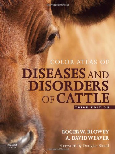 Color Atlas of Diseases and Disorders of Cattle 2011