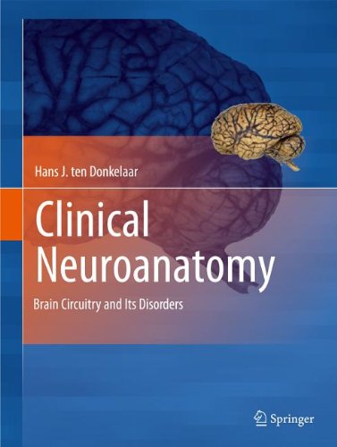 نوروآناتومی بالینی: مدارهای مغزی و اختلالات آنها