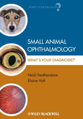Small Animal Ophthalmology: What's Your Diagnosis? 2011
