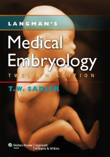 Langman's Medical Embryology 2011