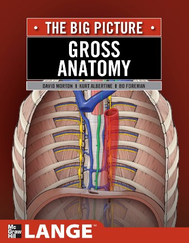 Gross Anatomy: The Big Picture 2011