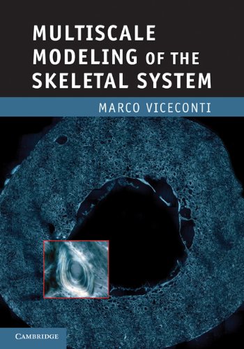 Multiscale Modeling of the Skeletal System 2012