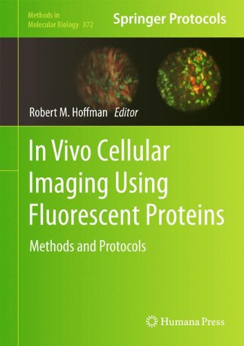 تصویربرداری سلولی in vivo با استفاده از پروتئین های فلورسنت: روش ها و پروتکل ها