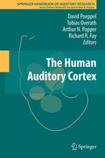 The Human Auditory Cortex 2012