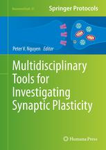 Multidisciplinary Tools for Investigating Synaptic Plasticity 2013