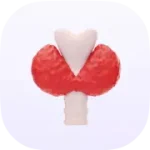 کتاب های غدد درون ریز-کالیبو