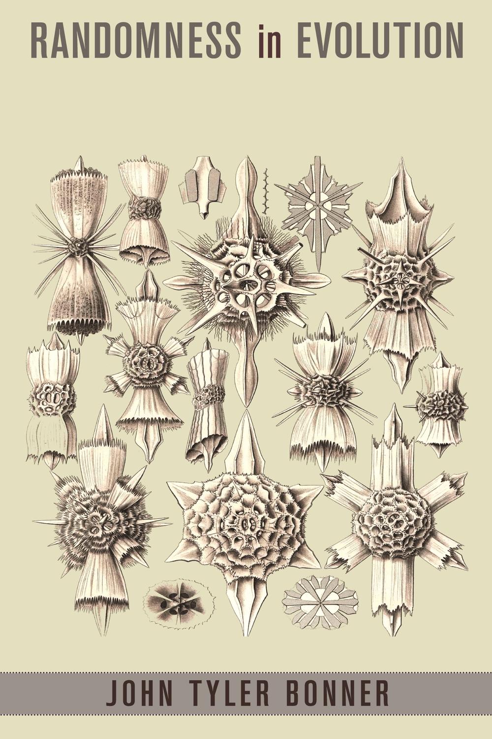 تصادفی بودن در تکامل ۲۰۱۳