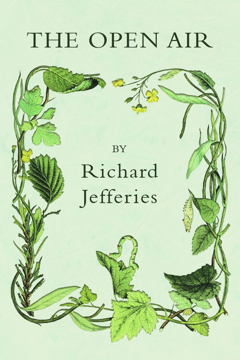 فضای باز ۲۰۱۶